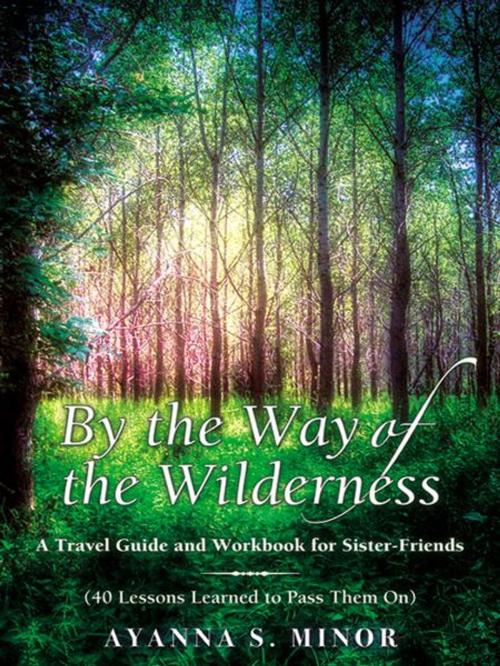 Cover of the book By The Way of the Wilderness by Ayanna Minor, Infinity Publishing