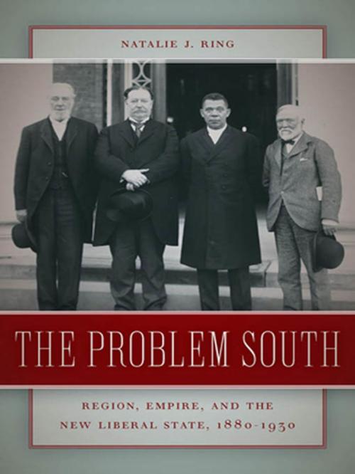 Cover of the book The Problem South by Natalie J. Ring, University of Georgia Press