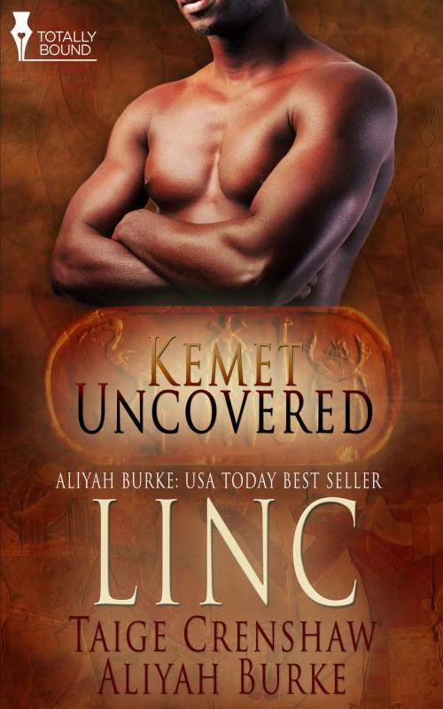 Cover of the book Linc by Aliyah Burke, Taige Crenshaw, Totally Entwined Group Ltd