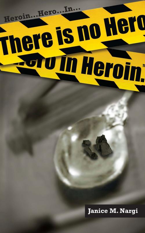 Cover of the book There Is No Hero In Heroin by Janice Nargi, Twin Feather Publishing