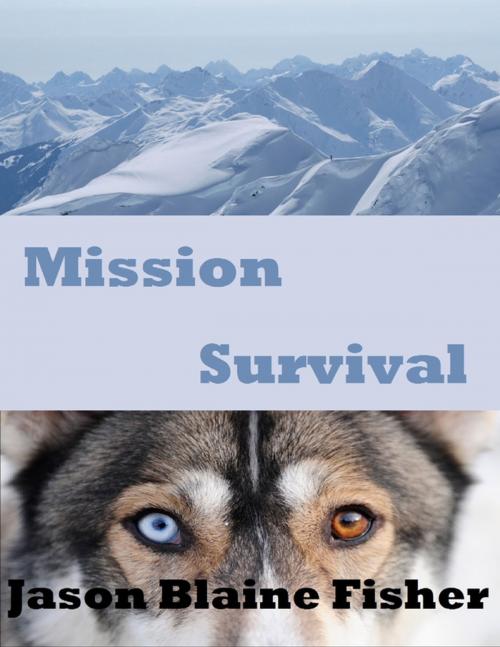 Cover of the book Mission Survival by Jason Blaine Fisher, Lulu.com
