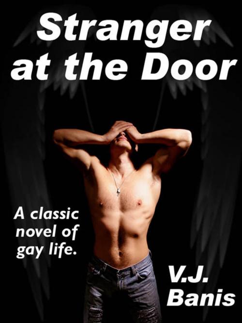 Cover of the book Stranger at the Door by Victor J. Banis, Wildside Press LLC