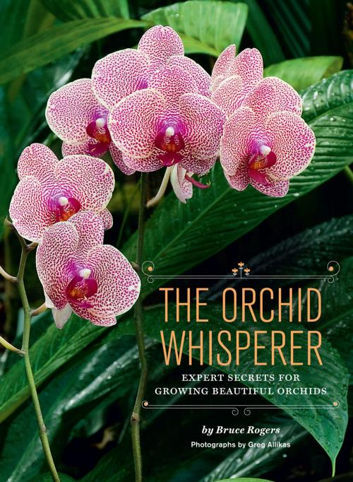 Cover of the book The Orchid Whisperer by Bruce Rogers, Chronicle Books LLC