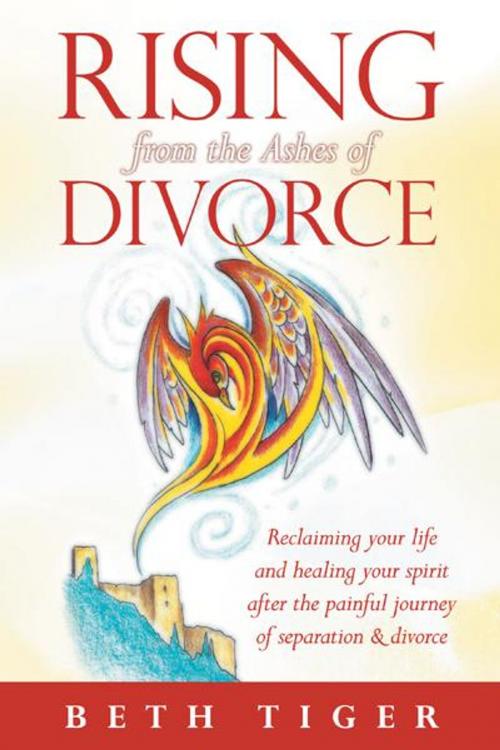 Cover of the book Rising from the Ashes of Divorce by Beth Tiger, Balboa Press