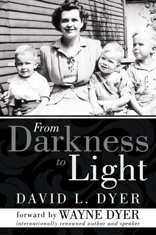 Cover of the book From Darkness to Light by David L. Dyer, Balboa Press