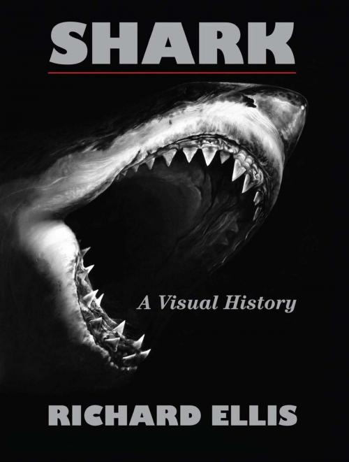 Cover of the book Shark by Richard Ellis, Lyons Press