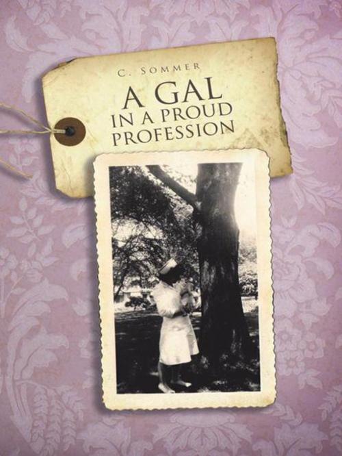 Cover of the book A Gal in a Proud Profession by C. Sommer, Trafford Publishing