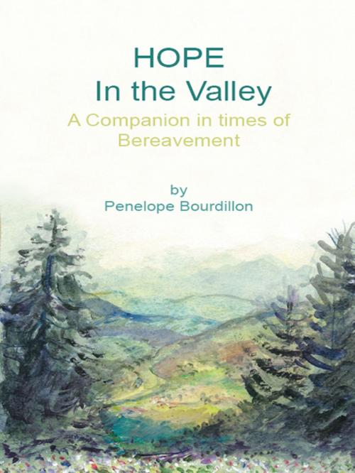 Cover of the book Hope in the Valley by Penelope Bourdillon, AuthorHouse UK