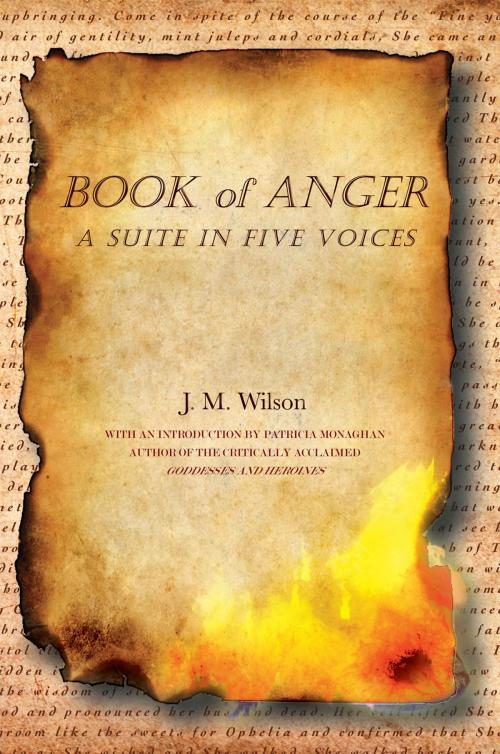 Cover of the book Book of Anger by J. M. Wilson, Xlibris US