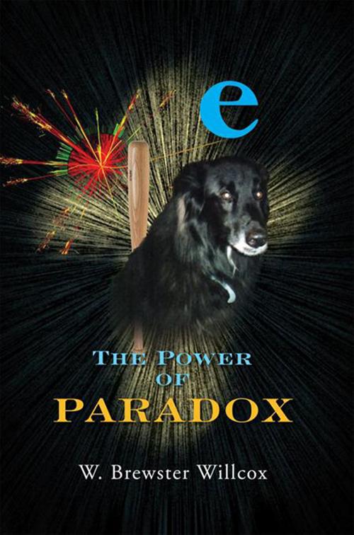 Cover of the book The Power of Paradox by W. Brewster Willcox, Xlibris US