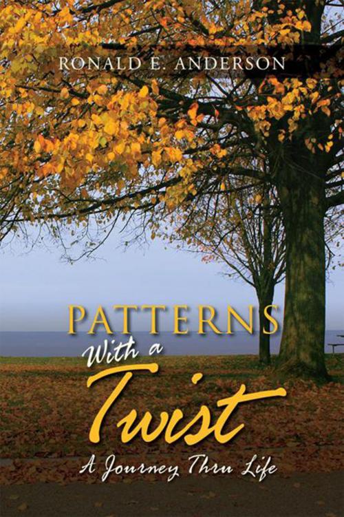 Cover of the book Patterns with a Twist by Ronald E. Anderson, Xlibris US