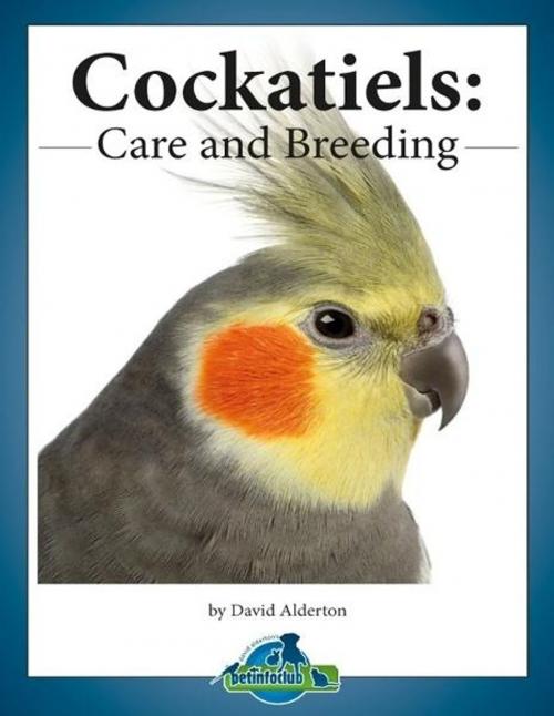 Cover of the book Cockatiels: Care and Breeding by David Alderton, David Alderton