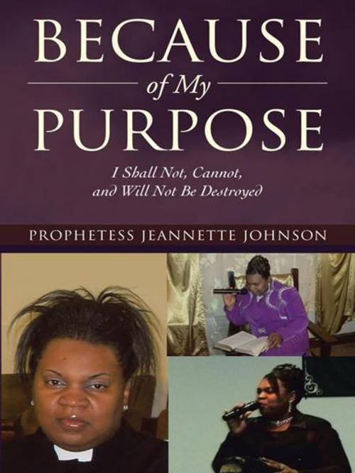 Cover of the book Because of My Purpose by Prophetess Jeannette Johnson, iUniverse