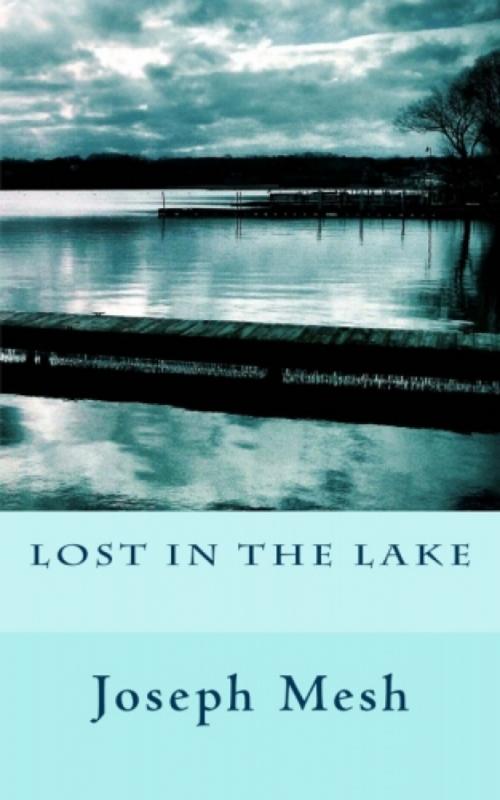 Cover of the book Lost in the Lake by Joseph Mesh, Joseph Mesh