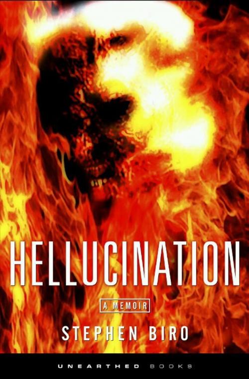 Cover of the book Hellucination Limited Wrath Edition by Stephen Biro, Stephen Biro