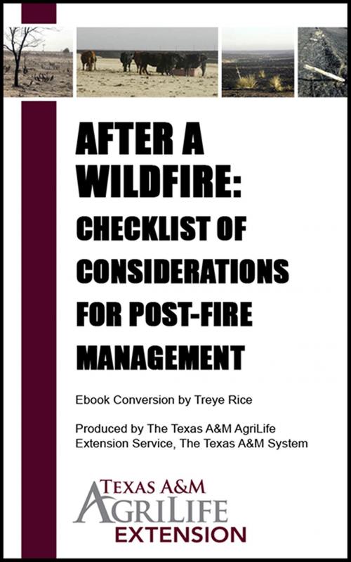 Cover of the book After a Wildfire: Checklist of Considerations for Post-Fire Management by Texas A&M AgriLife Extension Service, Texas A&M AgriLife Extension Service