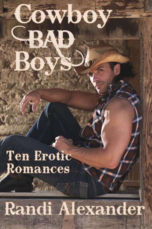 Cover of the book Cowboy Bad Boys by Randi Alexander, Randi Alexander