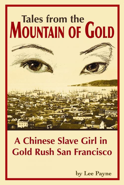 Cover of the book Tales from the Mountain of Gold by Lee Payne, Lee Payne