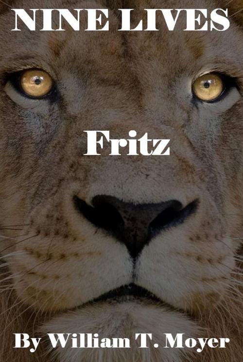 Cover of the book Fritz by William T. Moyer, William T. Moyer