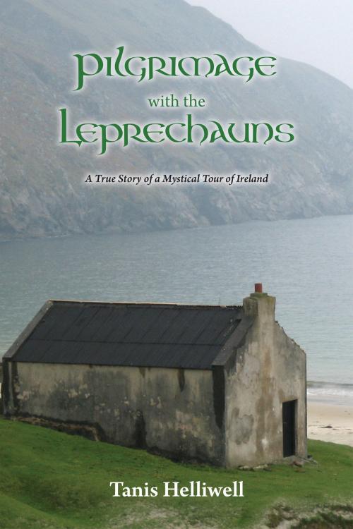 Cover of the book Pilgrimage with the Leprechauns: A true story of a mystical tour of Ireland by Tanis Helliwell, Tanis Helliwell