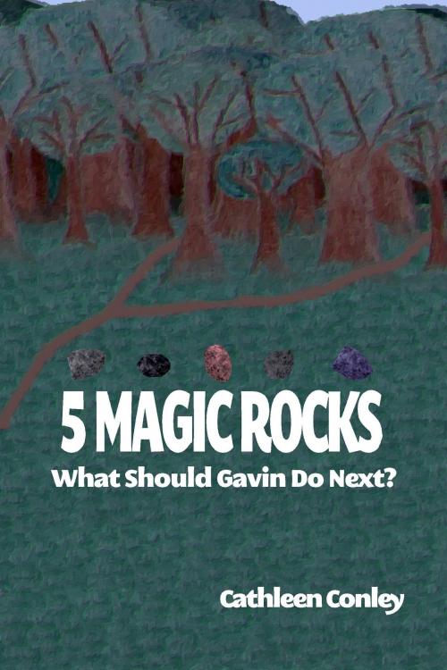 Cover of the book 5 Magic Rocks: What Should Gavin Do Next? by Cathleen Conley, Before Someday Publishing