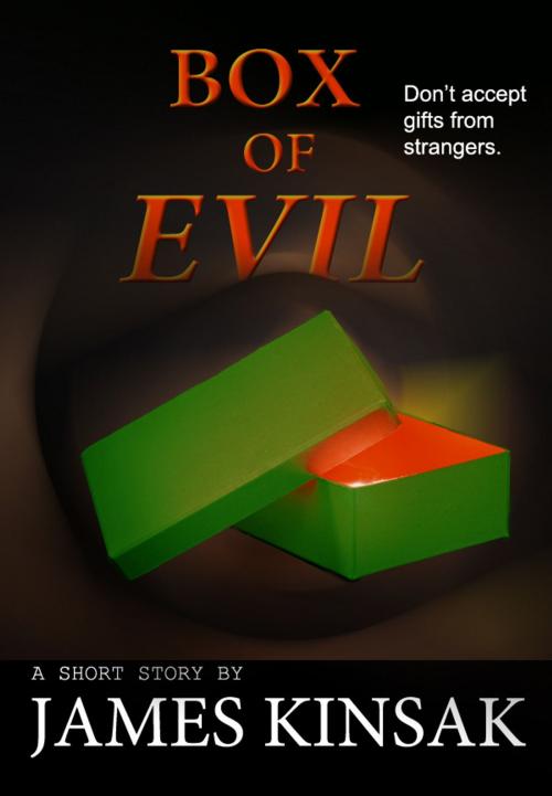 Cover of the book Box of Evil by James Kinsak, Fiero Publishing