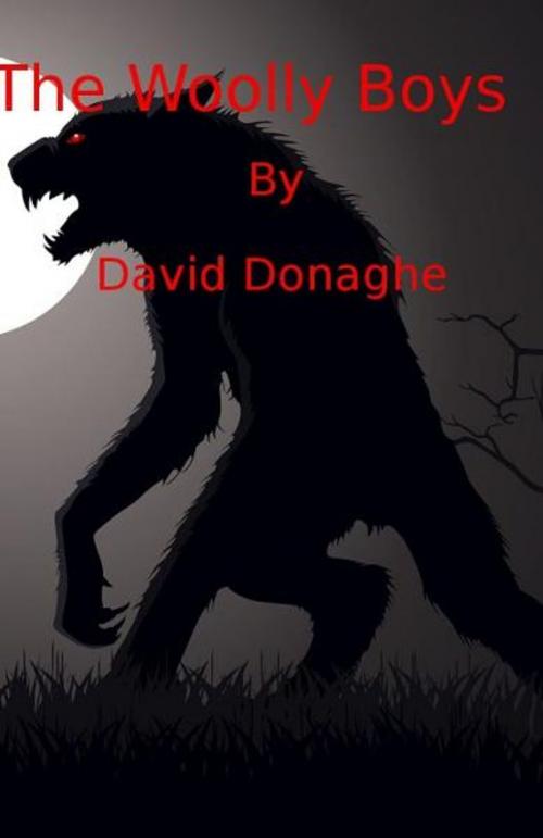 Cover of the book The Woolly Boys by David Donaghe, David Donaghe