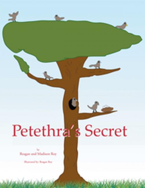 Cover of the book Petethra's Secret by Reagan Roy, Madison Roy, Xlibris US