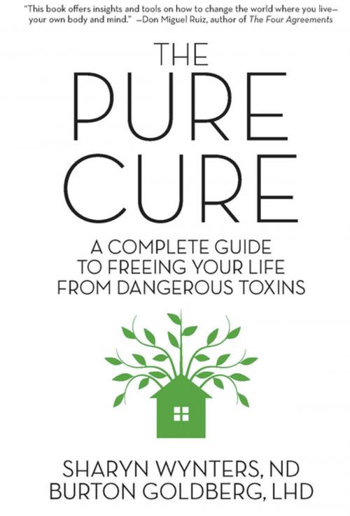 Cover of the book The Pure Cure by Sharyn Wynters, Soft Skull Press