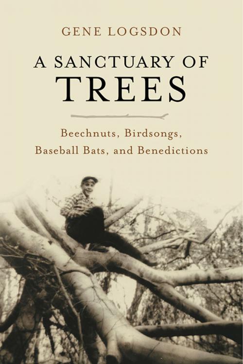 Cover of the book A Sanctuary of Trees by Gene Logsdon, Chelsea Green Publishing