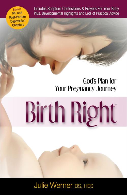Cover of the book Birth Right by Julie Werner, Harrison House LLC