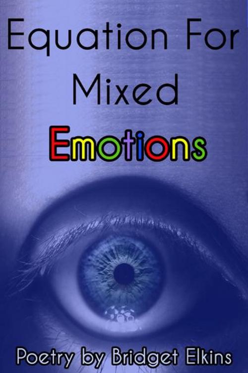 Cover of the book Equation For Mixed Emotions by Bridget Elkins, BookBaby