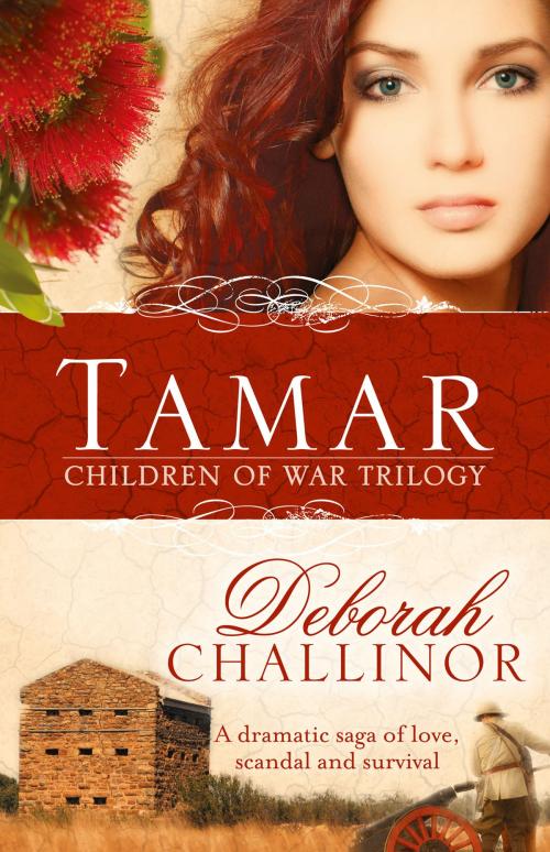 Cover of the book Tamar by Deborah Challinor, HarperCollins