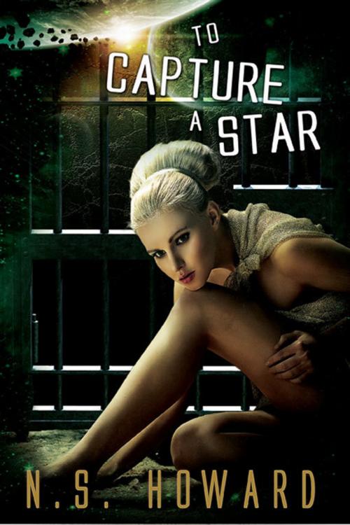 Cover of the book To Capture a Star by N.S. Howard, eXtasy Books Inc