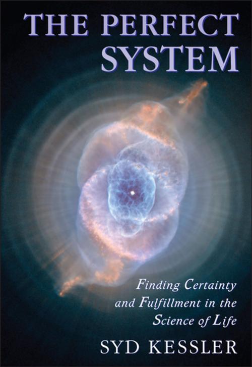 Cover of the book The Perfect System by Syd Kessler, BPS Books