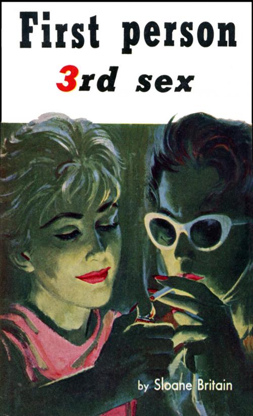 Cover of the book First Person, 3rd Sex by Sloane Britain, She Winked Press