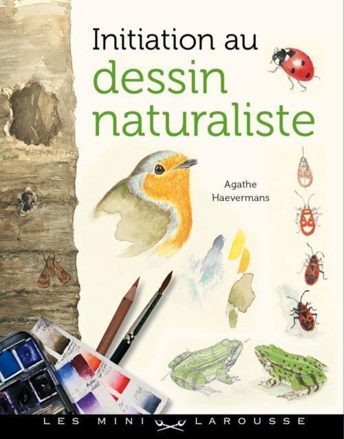 Cover of the book Initiation au dessin naturaliste by Agathe Haevermans, Larousse