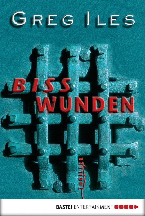 Cover of the book Bisswunden by Greg Iles, Bastei Entertainment