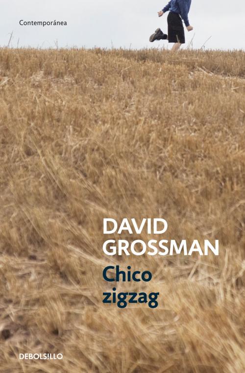 Cover of the book Chico zigzag by David Grossman, Penguin Random House Grupo Editorial España