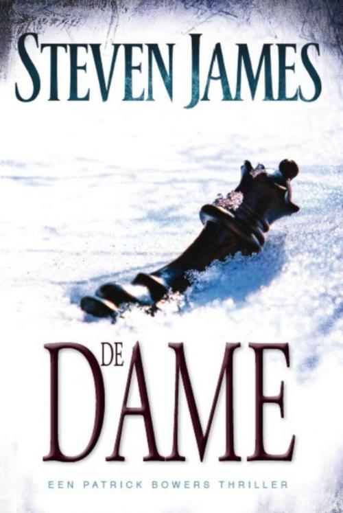 Cover of the book De dame by Steven James, VBK Media