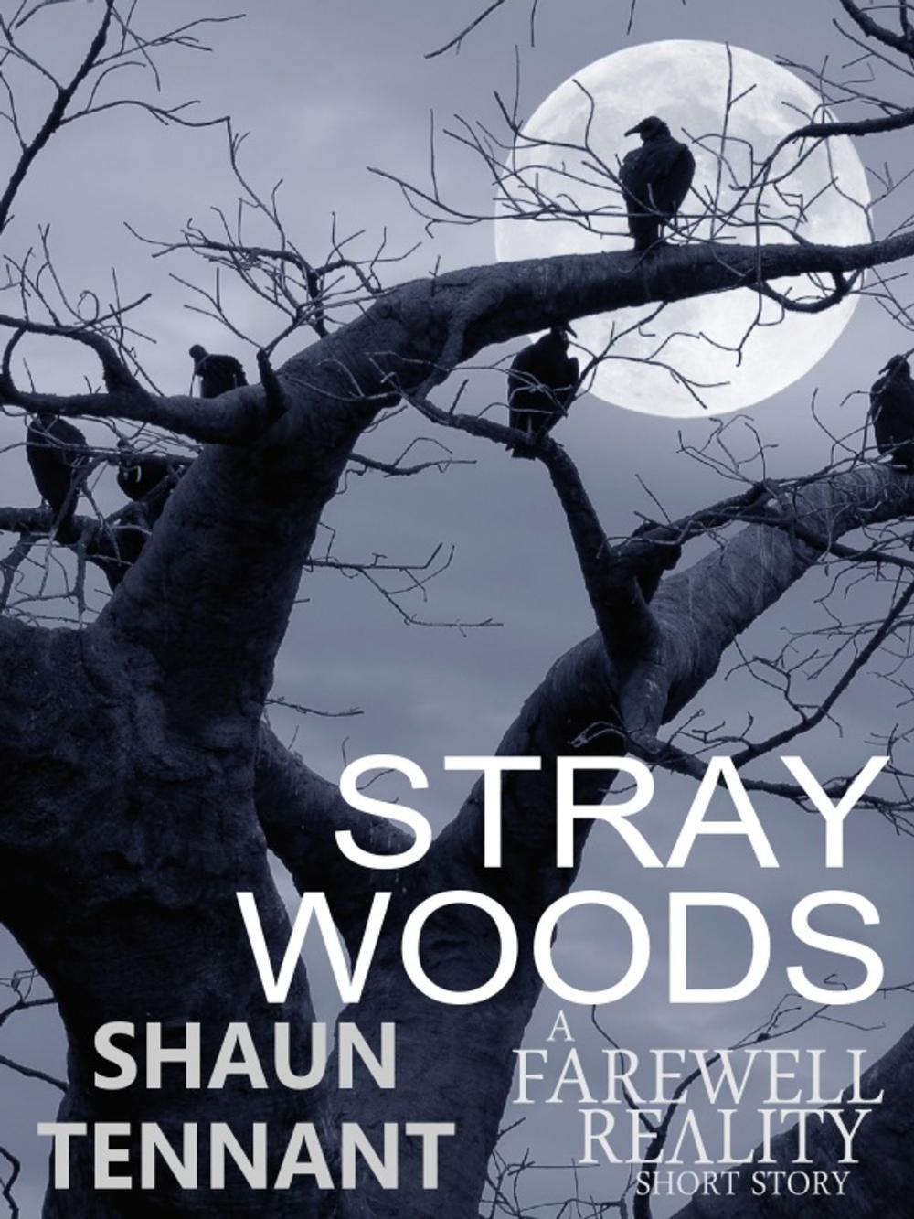 Big bigCover of Stray Woods