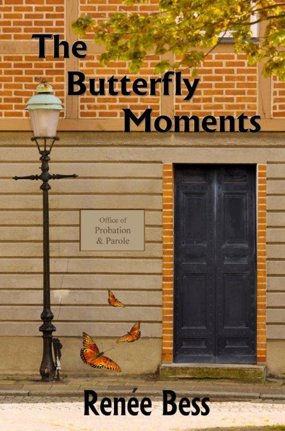 Big bigCover of The Butterfly Moments