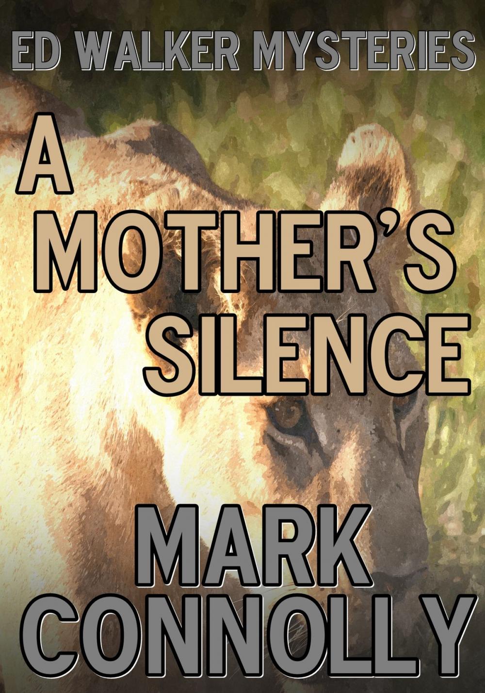 Big bigCover of A Mother's Silence