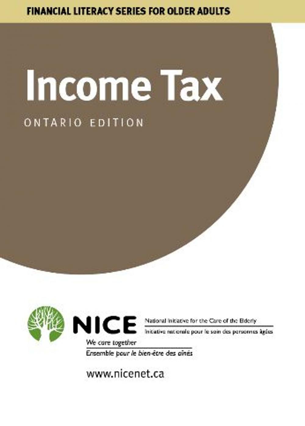 Big bigCover of Income Tax