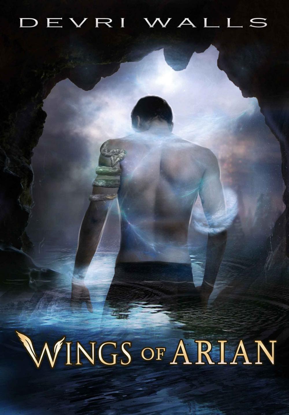 Big bigCover of Wings of Arian