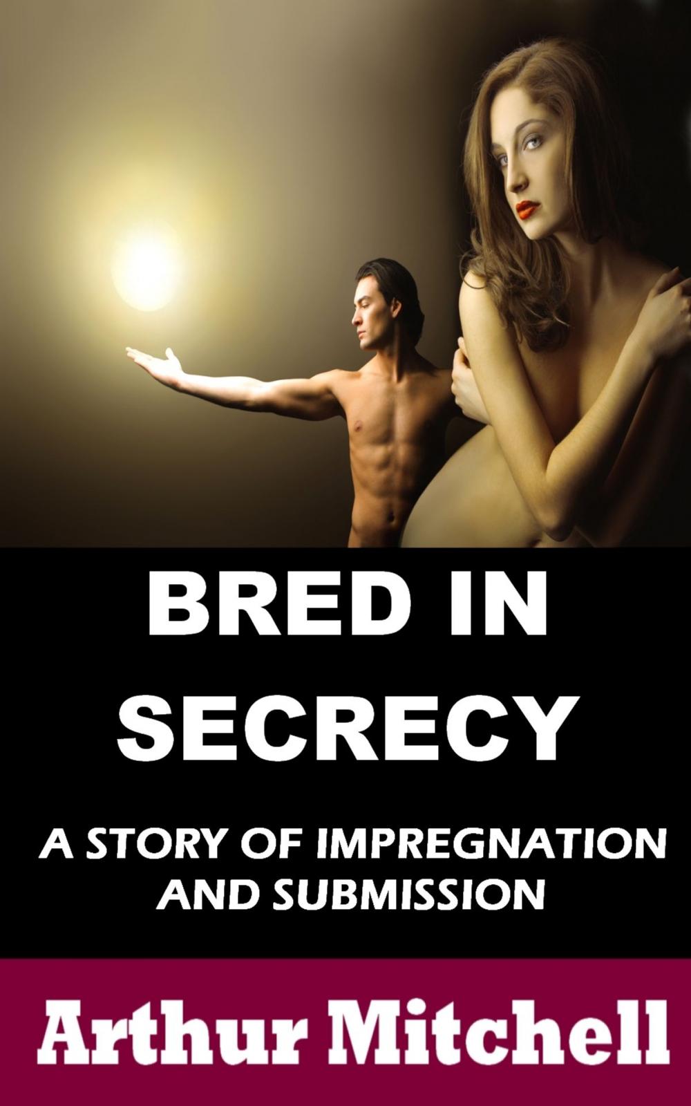 Big bigCover of Bred in Secrecy: A Story of Impregnation and Submission