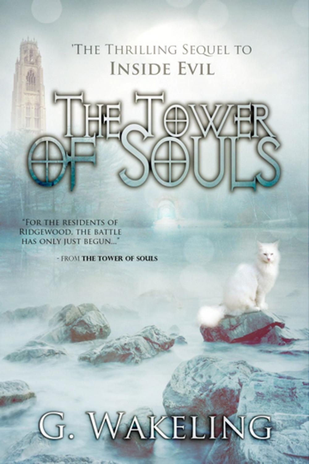 Big bigCover of The Tower of Souls