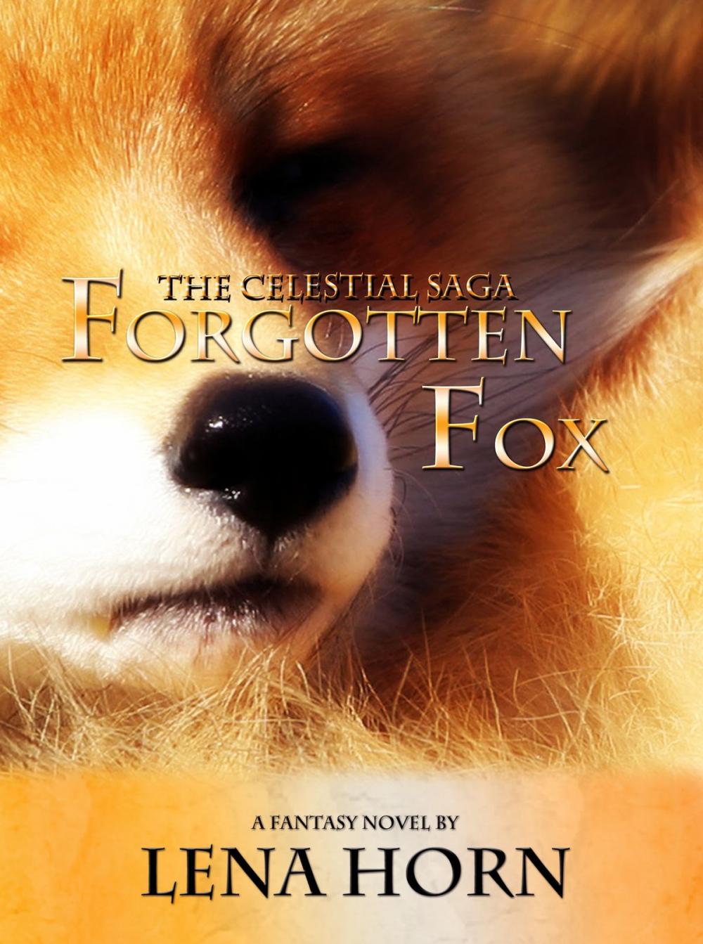 Big bigCover of Forgotten Fox