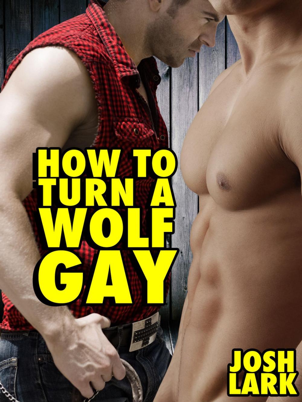 Big bigCover of How to Turn a Wolf Gay