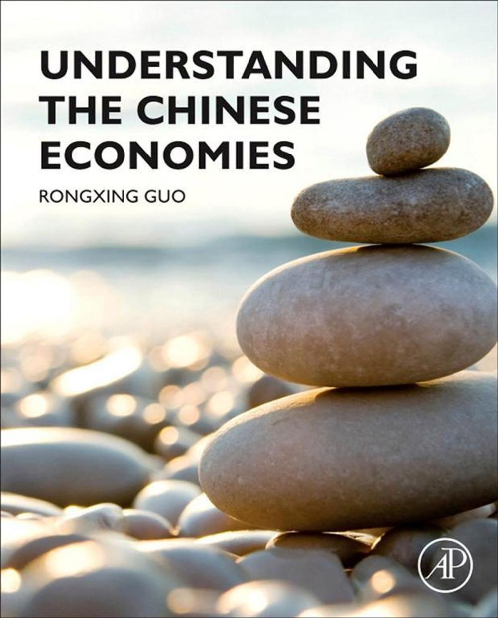 Big bigCover of Understanding the Chinese Economies